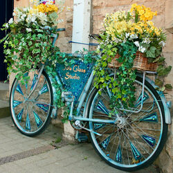 Пазл: Оригинальная клумба