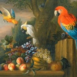Пазл: Натюрморт с попугаем