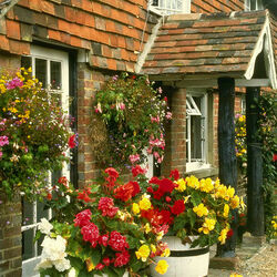 Пазл: Цветы у дома
