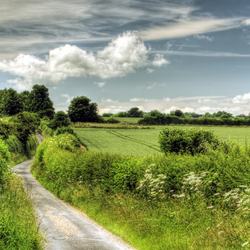 Пазл: Русские просторы