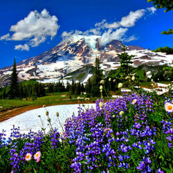 Пазл: Красоты природы 