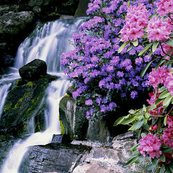 Пазл: Водопад