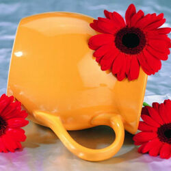 Пазл: Герберы