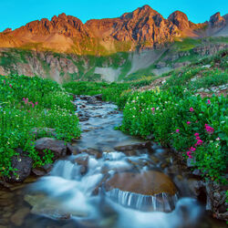 Пазл: Красоты природы