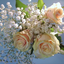 Пазл: Невесомость