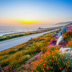 Пазл: Красоты природы