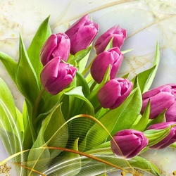 Пазл: Тюльпаны