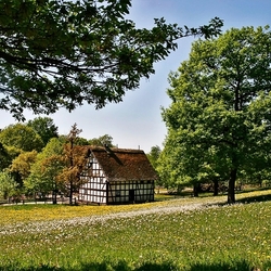 Пазл: Идилия