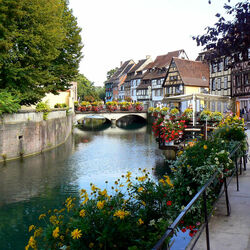 Пазл: Кольмар