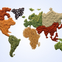 Пазл: Специи