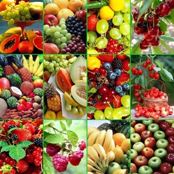 Пазл: Фруктовый микс