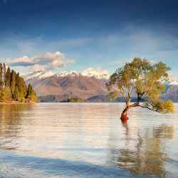 Пазл: Озеро, Новая Зеландия