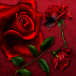 Пазл: Страстное красное