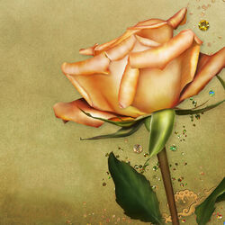 Пазл: Золотая роза