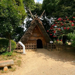 Пазл: Красота Японии