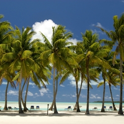 Пазл: Острова Кука