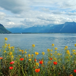 Пазл: Женевское озеро