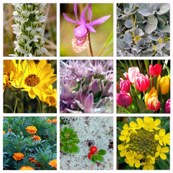 Пазл: Весенний