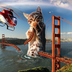 Пазл: Очень большой кот 