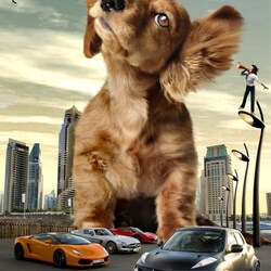 Пазл: Переполох