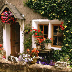 Пазл: Цветы у дома