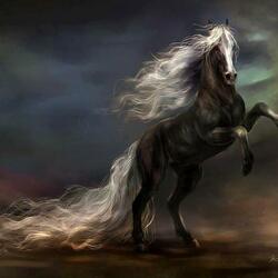 Пазл: Белогривая