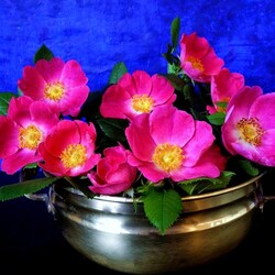 Пазл: Натюрморт с розами