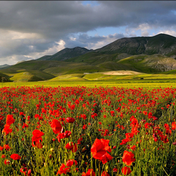 Пазл: Альпийские вершины