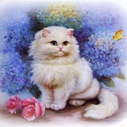 Пазл: Китайские коты