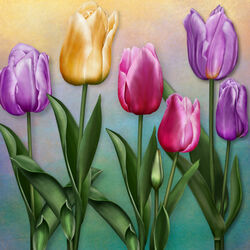 Пазл: Тюльпаны
