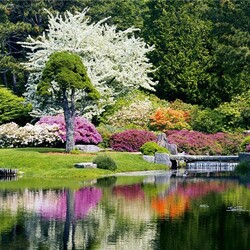 Пазл: Весна