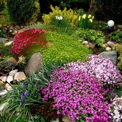 Пазл: Ландшафтный дизайн