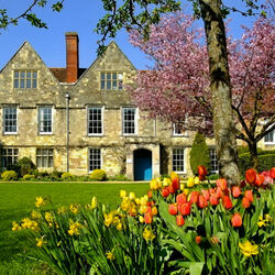 Пазл: Весна пришла