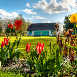 Пазл: Весна пришла