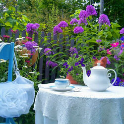 Пазл: Чаепитие на природе