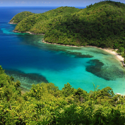 Пазл: Тропики