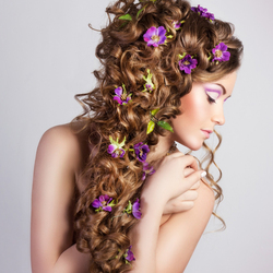 Пазл: Изысканность