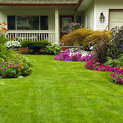 Пазл: Лужайка у дома