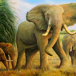 Пазл: Слоны