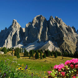 Пазл: Красоты природы