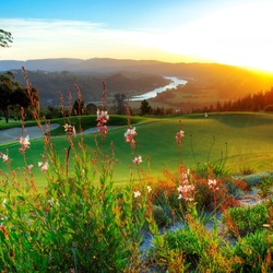 Пазл: Поле для гольфа, ЮАР