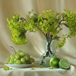 Пазл: В зеленом цвете