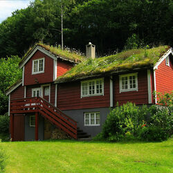 Пазл: Домик в лесу