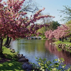 Пазл: Весенний парк