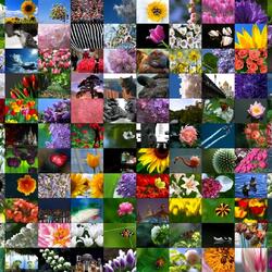 Пазл: Весенний вальс