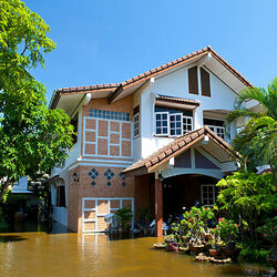 Пазл: Загородный коттедж