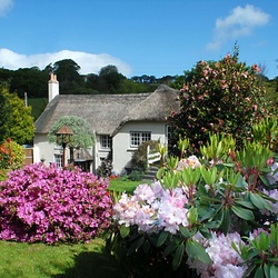 Пазл: Цветы у дома