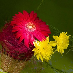 Пазл: Цветочная композиция