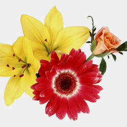 Пазл: Цветочная композиция