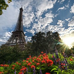 Пазл: Цветы в Прариже